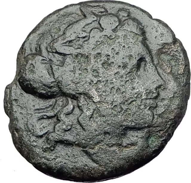 AMPHAXITIS District THESSALONICA Macedonia 168BC Greek Coin DIONYSUS GOAT i61435