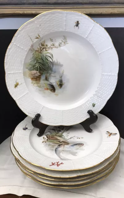 Antique 6 Meissen Porcelain Hand Painted Fish Dinner Plates 10'' Circa 1900