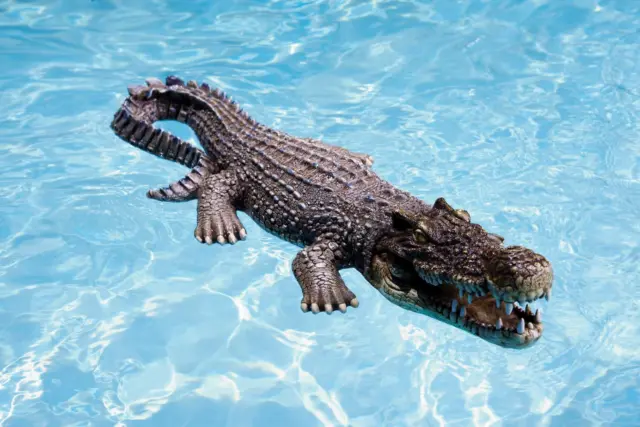 30-Inch Floating Crocodile Decoy for Pool, Pond, Garden and Patio, Body , Brown 3