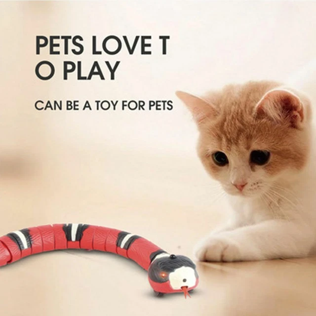 Simulation Chargeable Indoor Electronic Snake Automatic Smart Sensor Cat Toy
