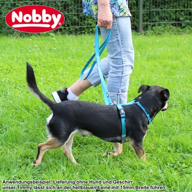 Nobby Führleine CLASSIC 200 cm - 10/15/20/25 mm - Nylon Leine Hundeleine 2 m 3
