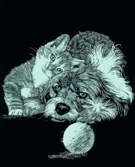 Kratzbild Kratzbilder - Hund und Katze - Tiermotiv - Komplettset -  Mini Neu