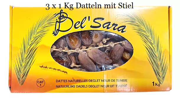 Datteln am Zweig - 3 x 1 Kg - Neue Ernte Dattel Deglet Nour mit Stiel 1. Klasse