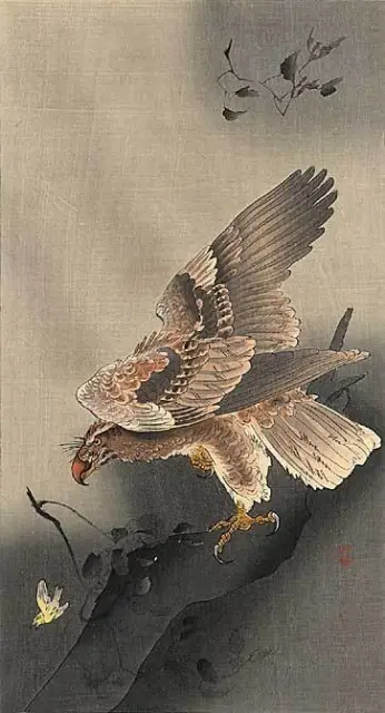 Hawk Hunting 22x30 Japanese Art Print  by Koson