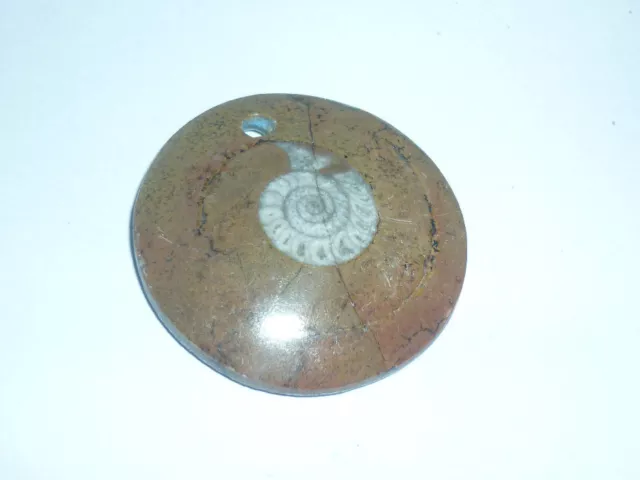 cristalloterapia PENDENTE COLLANA FOSSILE AMMONITE CERCHIO GONIATITE ciondolo