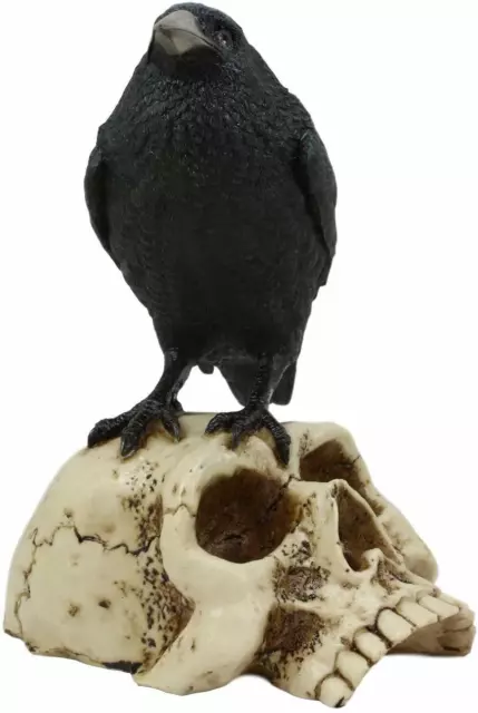 Ebros Gothic Raven Perching On Skull Statue 7.25" High Crow Scavenger Figurine 3