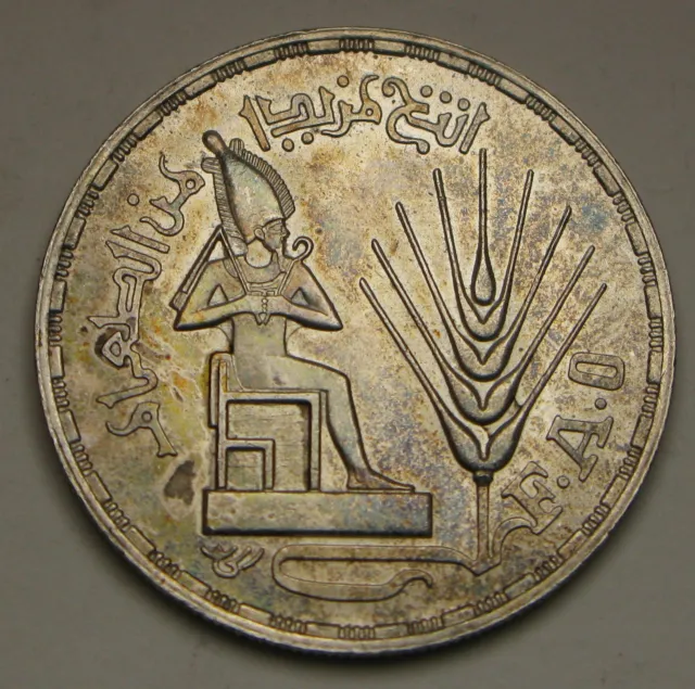EGYPT 1 Pound AH1396 / AD1976 - Silver 0.720 - F.A.O. - aUNC - 3803