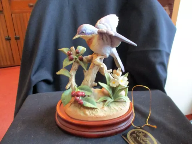 Vintage Andrea By Sadek Parula Warbler On Wood Base