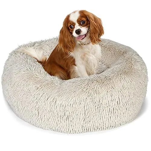 Small Dog Bed Calming Dogs Bed for Small Medium Large Dogs Anti-Anxiety Puppy...