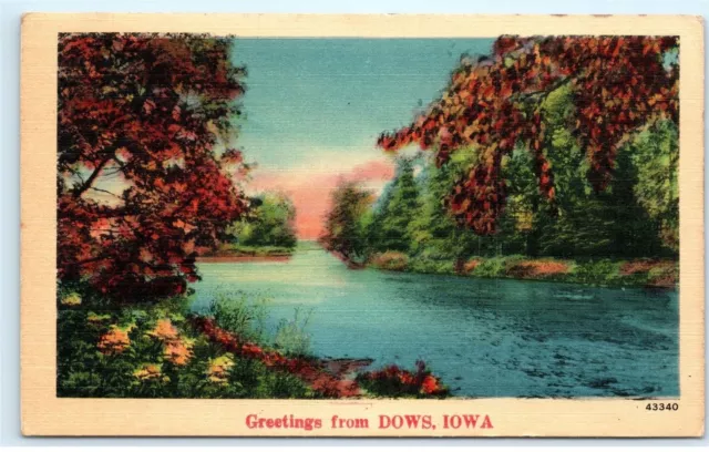 1946 River Autumn Trees Nature Greetings from Dows Iowa Vintage Postcard A80