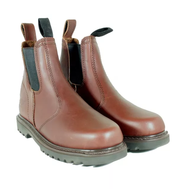 Hoggs shire dealer boot 2025