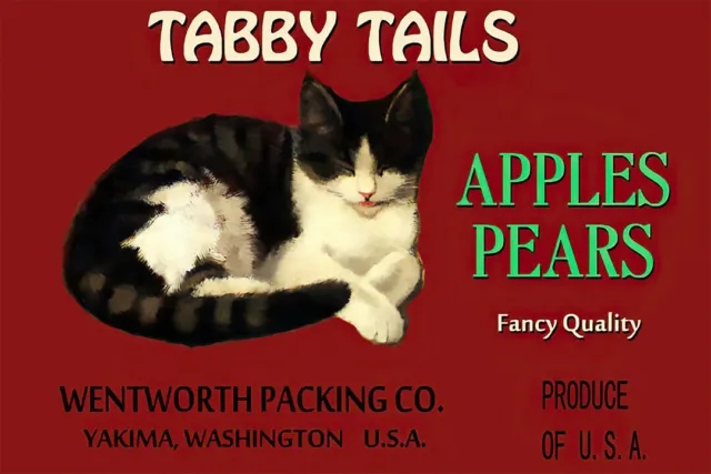 359508 Poster stampa decorazione arte etichetta cassa gatto code tabby mele pere Regno Unito