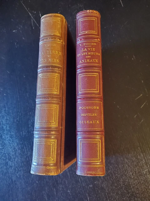 Figuier, La Terre Et La Mer - Hachette 1864 - Relié, Illustré, Sciences