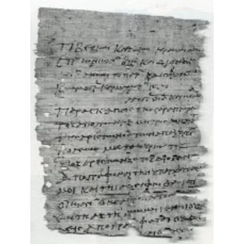 Papyri griechisch und ägyptisch bearbeitet von verschiedenen Händen in H - Taschenbuch NEU T, Singh