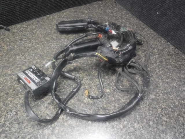 01 Harley Electra-Glide Touring FLHT FLHTC Engine Wiring Harness 29I