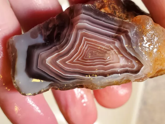 Botswana Banded Agate Nodule Rough Lake Superior Cousin  117g