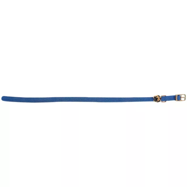 Collier 32 cm x 10 mm collier élastique avec clochette bleu pour chat