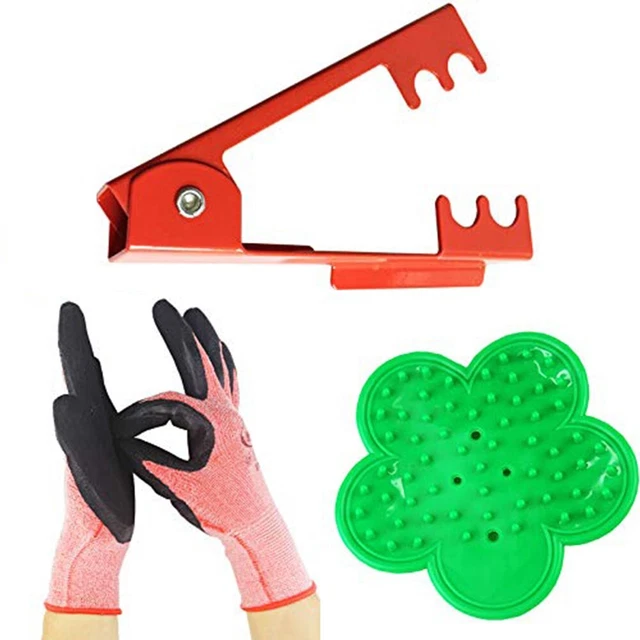 Kit Bulloni E Dadi Spazzaneve Kit 10 Perni Di Taglio  Shear Pin Con Dado Per Honda Soffiatore 907232 - Foto 3