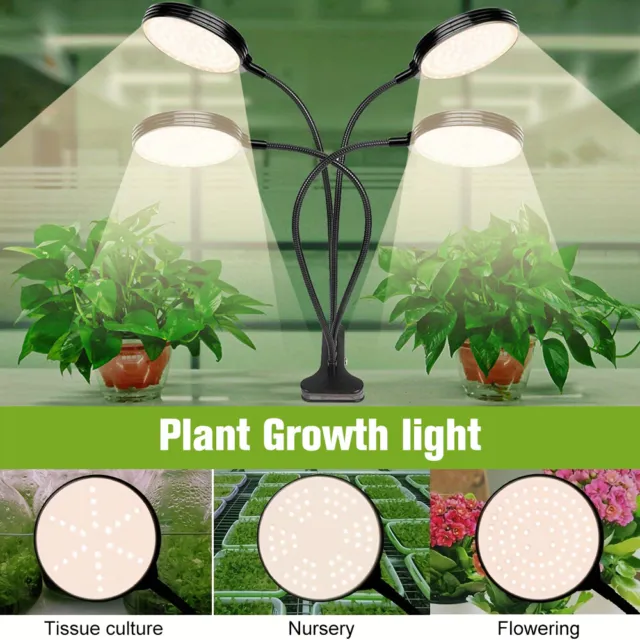 60W LED Pflanzenlampe Vollspektrum Wuchs Licht Pflanzenlicht Pflanzenbeleuchtung
