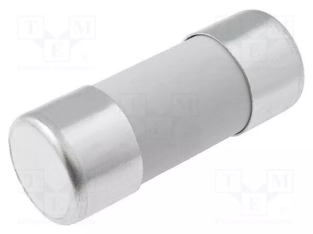 Sécurité : Schmelz 100A 22x58mm 422000 Assurance 22x58mm Gg 500VAC