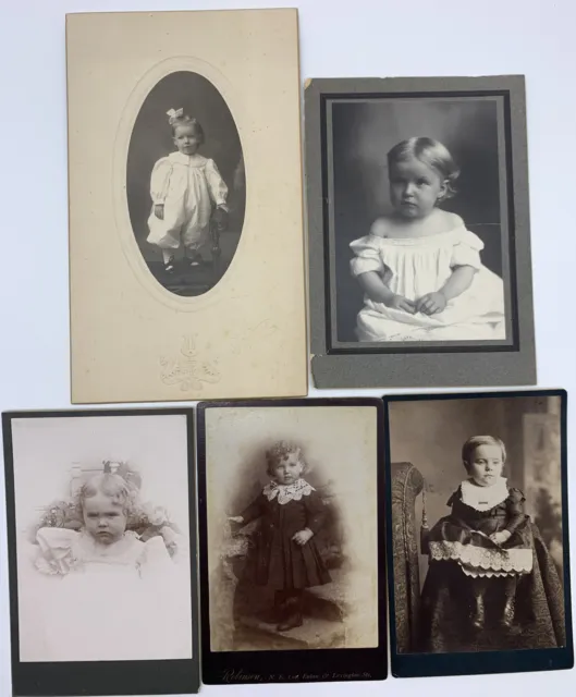 Victorian Photo Lot 5 Young Infant Baby Little Girls Antique Photograph Vtg CDV