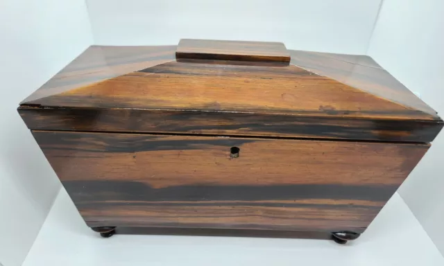 1830's Georgian Regency Era 3 Compartment English Rosewood Sarcophagus Tea Caddy