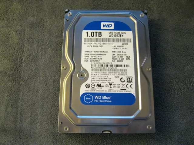 Hard Disk Western Digital 3.5 1TB BLU  - SPEDIZIONE GRATUITA!!!