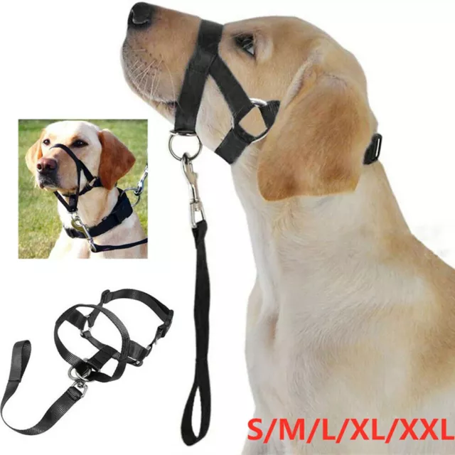 Dogalter Dog Halter Halti Training Head Collar Gentle Leader Harness Nylon