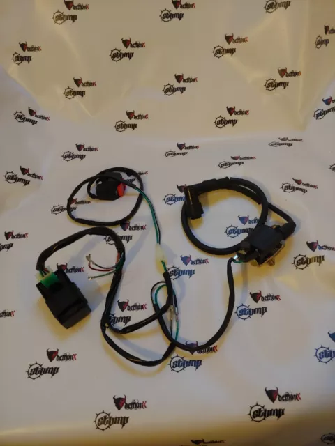 Pit Bike Complete Wiring Loom For Kick Start Pit Bike Engine 110Cc 125Cc 140Cc