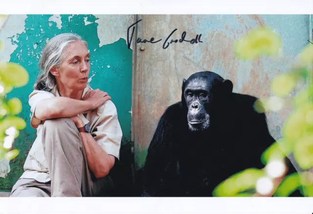 Jane GOODALL  (1934)  original sign. photo  / 20x26cm/ autograph