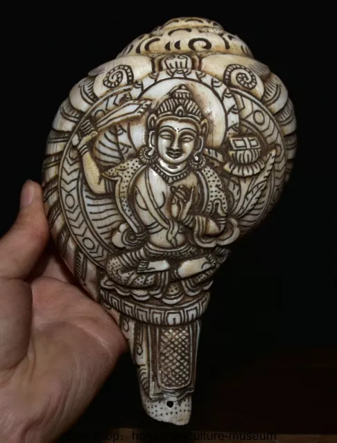 6.8 " Old Tibet Conch Buddha Wenshu Manjushri Goddess Conch Shell Trumpet Horn