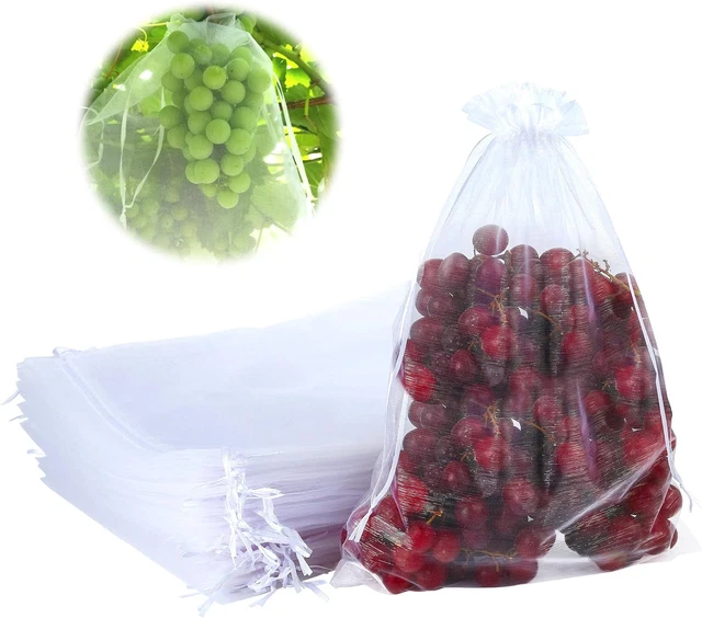 100 Sacchetti Protettivi Per Frutta Con Coulisse – Rete Fine Traspirante 15x22 Cm – Anti Insetti E Uccelli Per Orto E Giardino