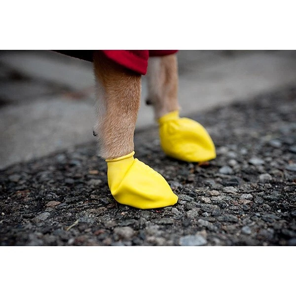 PAWZ SCARPE per proteggere le zampe dei cani taglie Chihuahua e Cocker EUR 18 00 PicClick IT