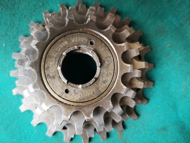 Ruota Libera PERFECT 5 V. 14/24 no Regina Extra per bici Corsa Eroica.