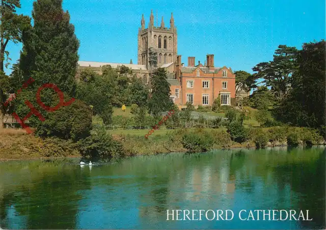 Picture Postcard>>Hereford Cathedral, from the River Wye [Salmon]