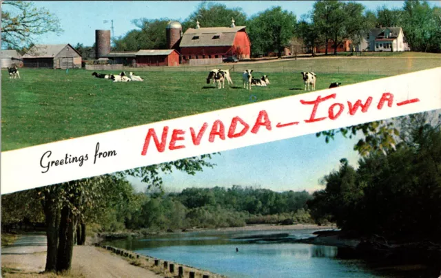 Greetings from Nevada Iowa Farm Scene Cows River Vintage Chrome Postcard A984