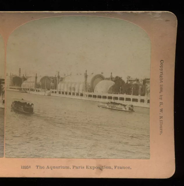 1900 Stereoview Aquarium on the Seine, Paris Exposition, France B.W. Kilburn