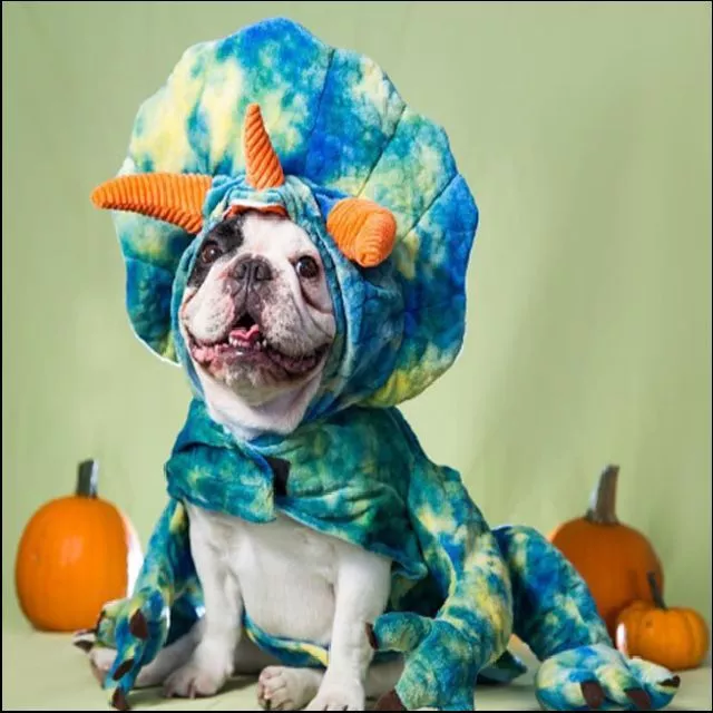 Dinosaur Halloween Dog Pet Costume Small (New with Tags)