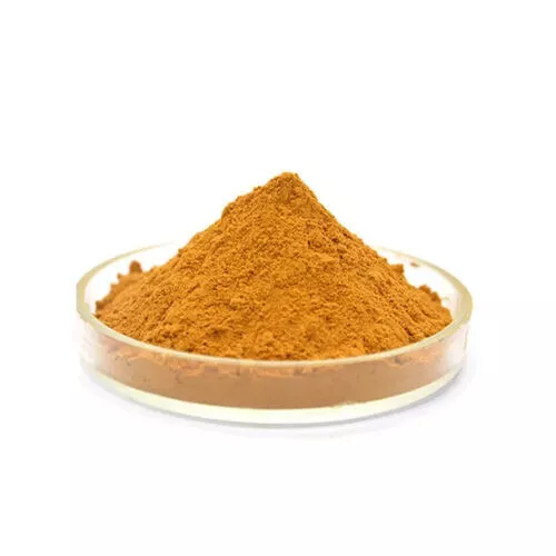 Rhubarb Root Extract Powder/Rheum Extract. Rheum palmatum L. 100g