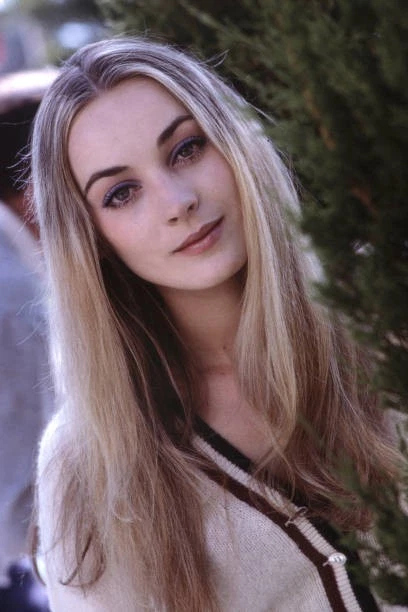 Geneviève Gilles: Movies, TV, and Bio