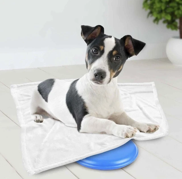 Chilli paws cooling sales mat