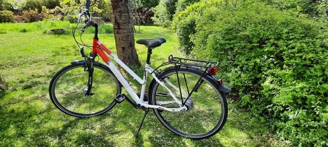 gazelle display für innergy e-bike silbergrau Orange Xtra gebraucht hefefrei Wie lange sollte man Farbe:caramel