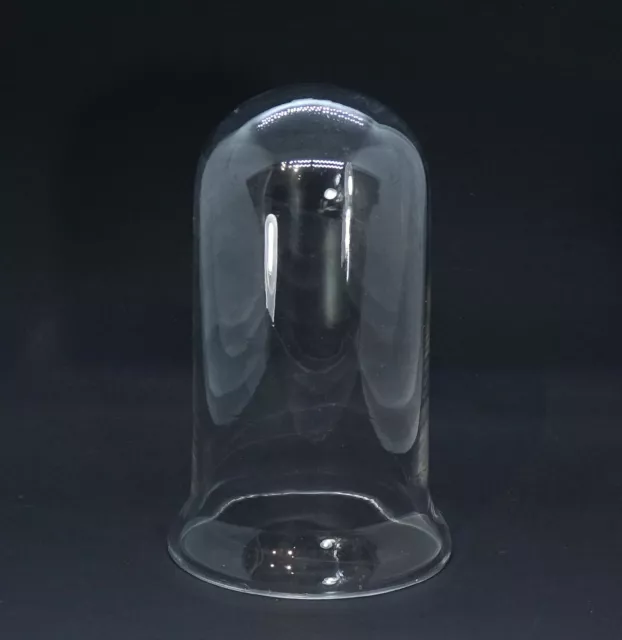 Cúpula de Cristal - Campana de Cristal, 19 Siglo, 18CM (#14177)