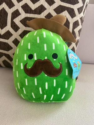 marcellus the cactus