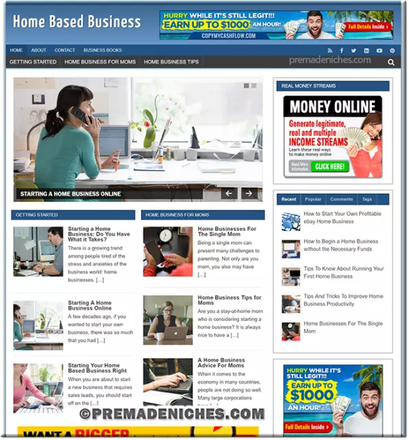 Ready Made Home Business Blog Turnkey Niche Website w/Reseller Hosting Package 2