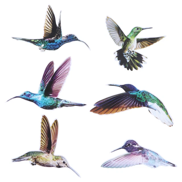 GORGECRAFT 16pz Vetrofanie Colibrì Uccello Arcobaleno Finestra di Vetro Adesione Statica Anti Collisione Vetrofanie Porta Scorrevole Avviso Decalcomanie Pellicola In Vinile per Prevenire La Fermata