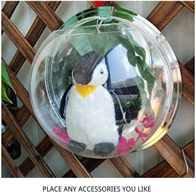 Creative Acrylic Hanging Wall Mounted Fish Tank Hanging Bowl Aquarium decoration 6