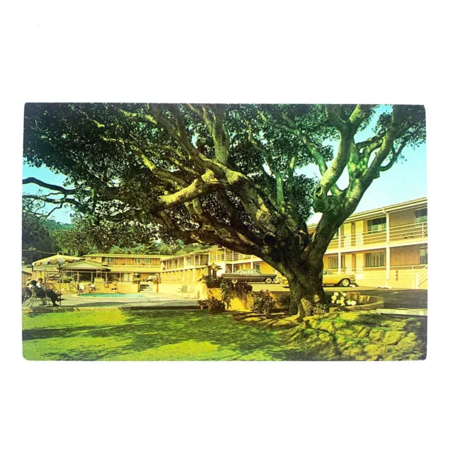 Postcard California Monterey CA Carmel Hill Motor Lodge Motel 1970s Chrome