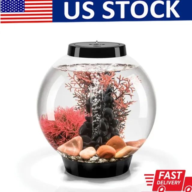 Aquarium with All Decor and Accessories Included - White LED Light, 4 gallon