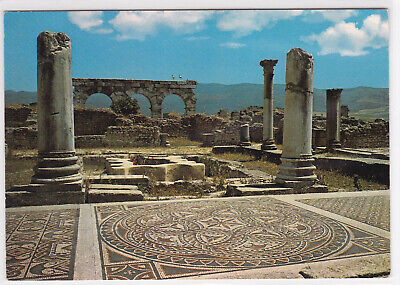 Carte Postale Couleur Cpsm Maroc Volubilis Ruines Romaines